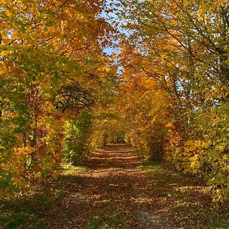 Longère Normande Avec Piscine Et Jardin