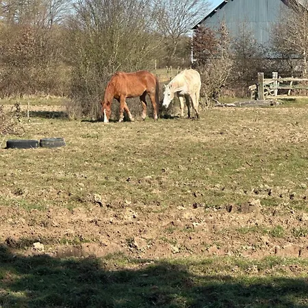 Longere Normande Avec Piscine Et Jardin Ferienhaus Landepéreuse