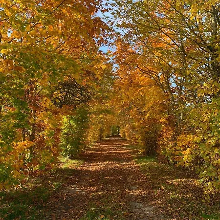 Casa vacanze Longère Normande Avec Piscine Et Jardin Landepéreuse