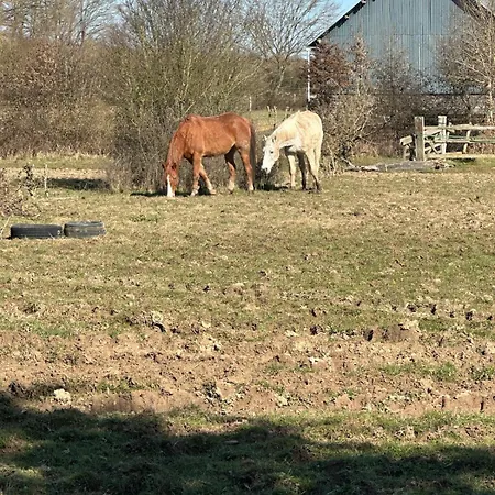 Longère Normande Avec Piscine Et Jardin Casa vacanze Landepéreuse