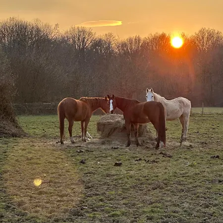 Ferienhaus Longere Normande Avec Piscine Et Jardin Landepéreuse