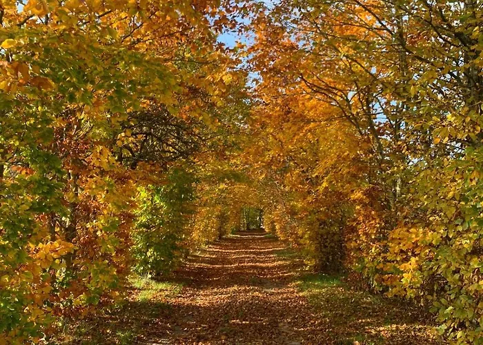 Longère Normande Avec Piscine Et Jardin