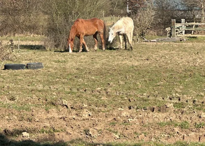 Longère Normande Avec Piscine Et Jardin Hébergement de vacances Landepéreuse