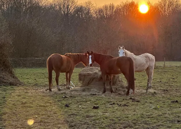 Hébergement de vacances Longère Normande Avec Piscine Et Jardin Landepéreuse
