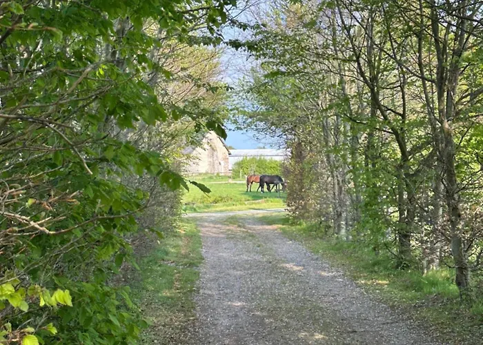 Hébergement de vacances Longère Normande Avec Piscine Et Jardin *